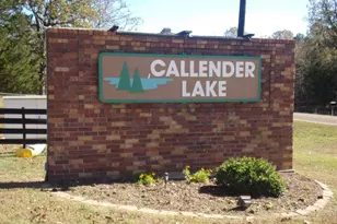 704 Callender Lake Dr, Murchison, TX 75778 - Photo 36