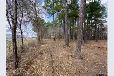 3363 Fm 349, Kilgore, TX 75663 - Photo 14