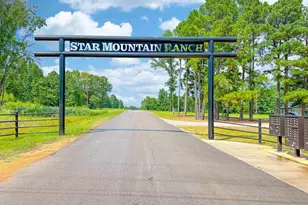 Lot 32 Creek Bottom Ct, Winona, TX 75792 - Photo 1