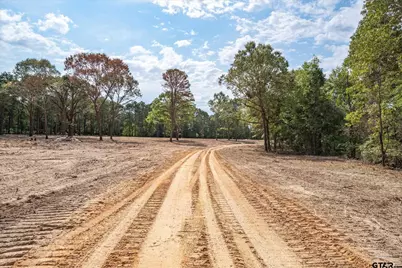 19451 County Road 4307, LaRue, TX 75770 - Photo 4