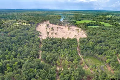 Tract 1 - Tbd County Road 4307, LaRue, TX 75770 - Photo 16