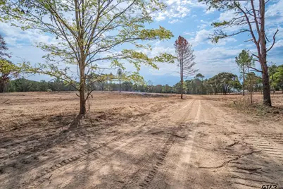 Tract 1 - Tbd County Road 4307, LaRue, TX 75770 - Photo 8
