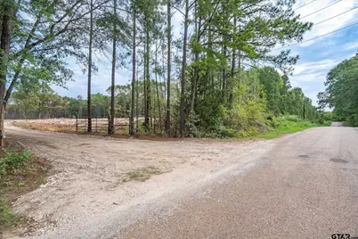 Tract 1 - Tbd County Road 4307, LaRue, TX 75770 - Photo 4