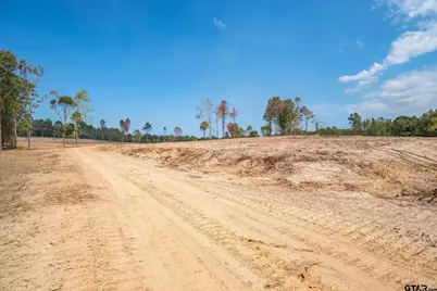 Tract 2 - Tbd County Road 4307, LaRue, TX 75770 - Photo 6