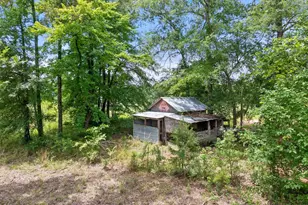 672 Cr 4960, Pittsburg, TX 75686 - Photo 44