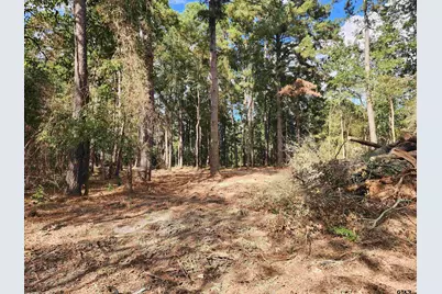 371 County Road 4152, Pittsburg, TX 75686 - Photo 6