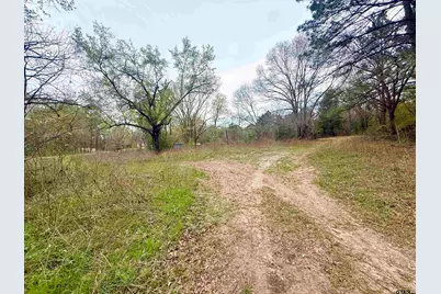 10933 County Road 384, Tyler, TX 75708 - Photo 6