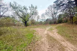 10933 County Rd 384, Tyler, TX 75708 - Photo 6