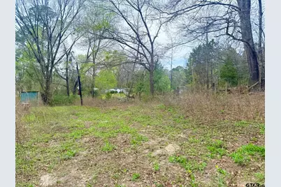10933 County Road 384, Tyler, TX 75708 - Photo 4
