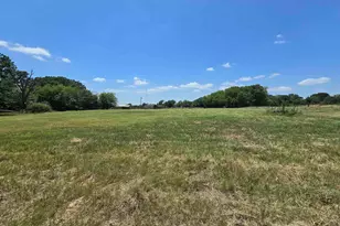 0 Vz County Road 1181, Grand Saline, TX 75140 - Photo 1