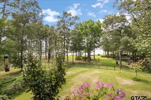 15722 Timberhill Dr, Flint, TX 75762 - Photo 44