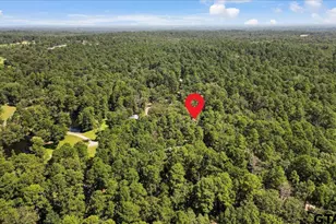 148 Pr 8574, Winnsboro, TX 75494 - Photo 28
