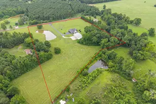 377 Utzman Rd, Kilgore, TX 75662 - Photo 36