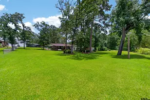 7344 E Panarama, Frankston, TX 75763 - Photo 44