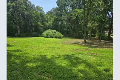Tbd Carson, Pittsburg, TX 75686 - Photo 4