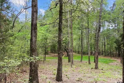 15250 Fm 858, Canton, TX 75103 - Photo 26