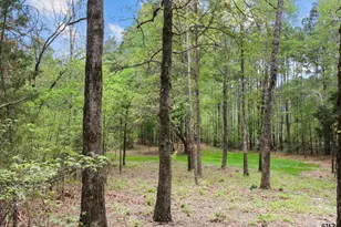 15250 FM 858, Canton, TX 75103 - Photo 26