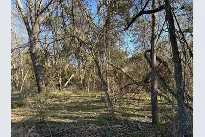 Tbd Cr 3324, Pittsburg, TX 75686 - Photo 10