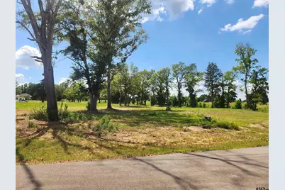 20034 Dews Ct Lot 3, Troup, TX 75789 - Photo 2