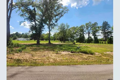 20034 Dews Ct Lot 3, Troup, TX 75789 - Photo 4