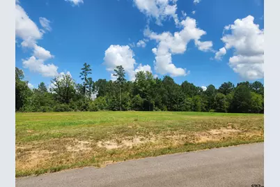 20035 Dews Ct Lot 4, Troup, TX 75789 - Photo 1