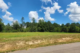 20035 Dews Ct Lot 4, Troup, TX 75789 - Photo 1