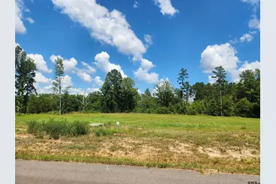 20035 Dews Ct Lot 4, Troup, TX 75789 - Photo 2