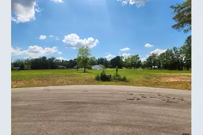 20048 Dews Ct Lot 5, Troup, TX 75789 - Photo 2