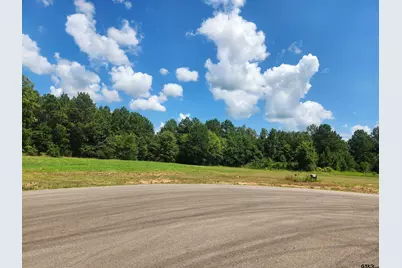 20047 Dews Ct Lot 6, Troup, TX 75789 - Photo 2