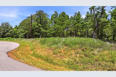 Lot 130 W Valley View Ct, Winona, TX 75792 - Photo 4