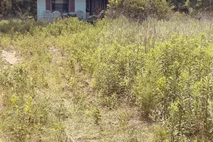 15775 FM 848, Whitehouse, TX 75791 - Photo 1