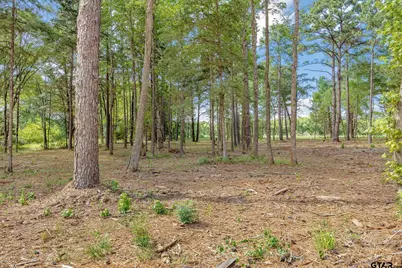 Lot 21A & Boat H Lot 26 Oak River, Frankston, TX 75763 - Photo 8