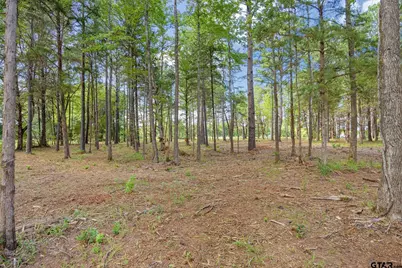 Lot 21A & Boat H Lot 26 Oak River, Frankston, TX 75763 - Photo 6
