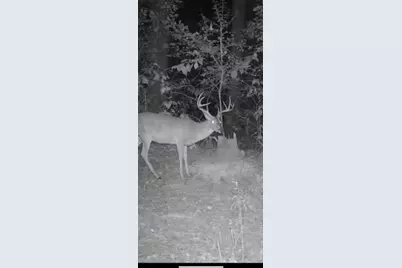 3299 Cr 1579, Avinger, TX 75630 - Photo 38