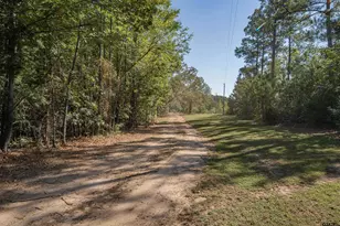 3299 Co Rd 1579, Avinger, TX 75630 - Photo 40