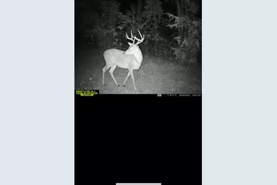 3299 Cr 1579, Avinger, TX 75630 - Photo 36