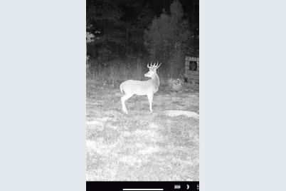 3299 Cr 1579, Avinger, TX 75630 - Photo 44