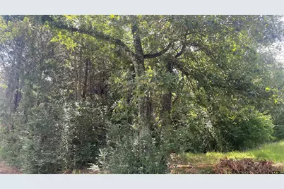 640 S Cr 4505, Winnsboro, TX 75494 - Photo 2