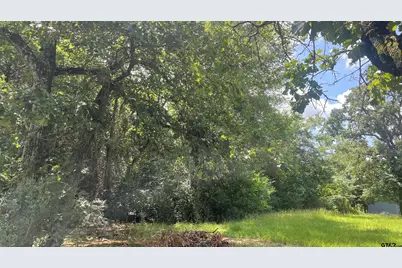 640 S Cr 4505, Winnsboro, TX 75494 - Photo 4