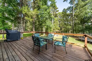 188 Palo Duro Pass, Holly Lake Ranch, TX 75765 - Photo 28