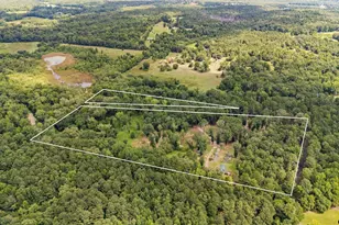 188 Co Rd 4583, Winnsboro, TX 75494 - Photo 2