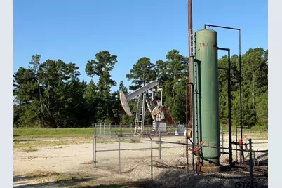 Tbd County Road 3147, Tyler, TX 75706 - Photo 2