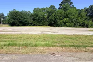 Tbd W Duval, Troup, TX 75789 - Photo 1