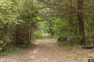 404 Pr 6227, Canton, TX 75103 - Photo 1