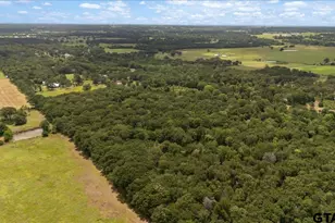 404 Pr 6227, Canton, TX 75103 - Photo 4