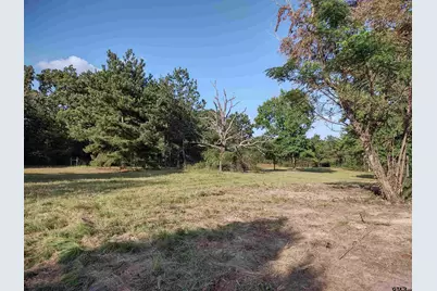 Tbd Cr 227, Arp, TX 75750 - Photo 12