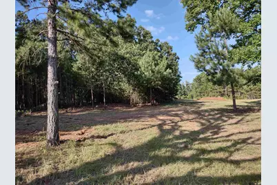 Tbd Cr 227, Arp, TX 75750 - Photo 4