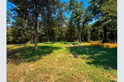 180 An County Road 4251, Palestine, TX 75803 - Photo 46