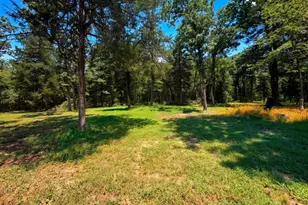 180 An County Road 4251, Palestine, TX 75803 - Photo 46