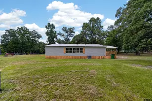 180 An County Road 4251, Palestine, TX 75803 - Photo 42